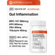 Gut Inflammation